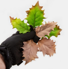 Load image into Gallery viewer, Leaf Camo – LC5
