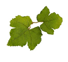 Load image into Gallery viewer, Leaf Camo – LC1