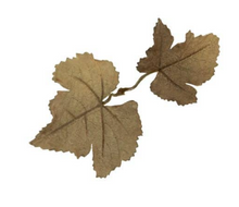 Load image into Gallery viewer, Leaf Camo – LC1
