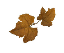 Load image into Gallery viewer, Leaf Camo – LC1