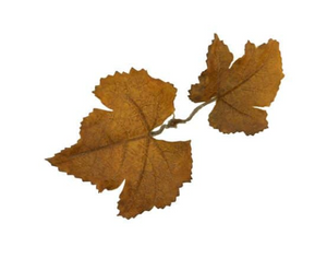 Leaf Camo – LC1