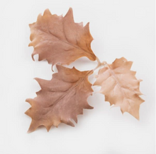 Load image into Gallery viewer, Leaf Camo – LC5