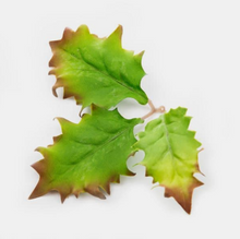 Load image into Gallery viewer, Leaf Camo – LC5