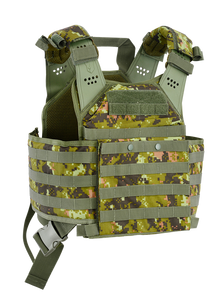 Protector Plate Carrier