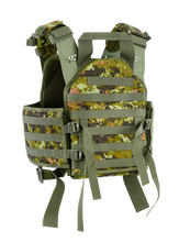 Load image into Gallery viewer, Protector Plate Carrier